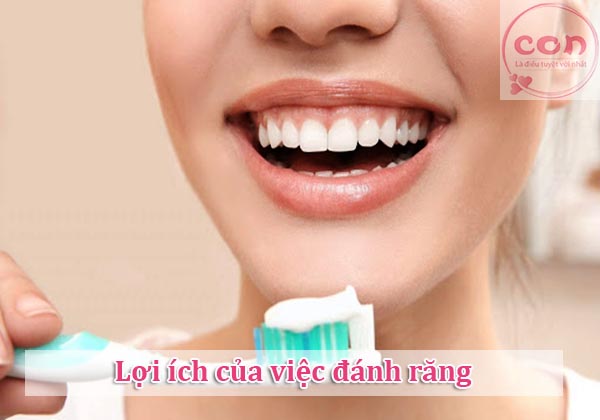 Lợi ích của việc đánh răng