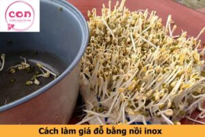 Cách làm giá đỗ bằng nồi inox - Sotayandam.jpg