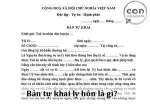 Bản tự khai ly hôn là gì_Sotayandam