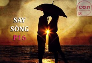 Say sóng P16