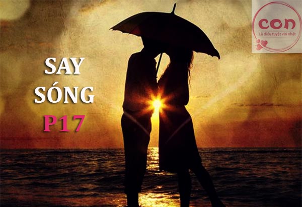 Say sóng P17
