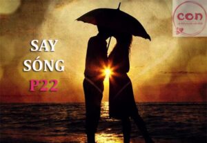 Say sóng P22