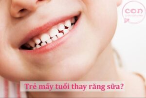 Trẻ mấy tuổi thay răng sữa
