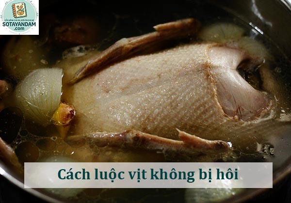 Cách luộc vịt không bị hôi