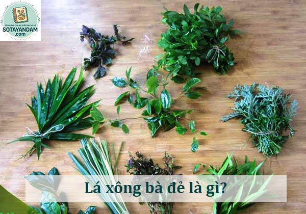 Lá xông bà đẻ là gì